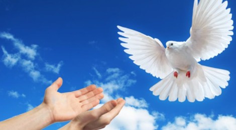 Vigília de Oração pela Paz